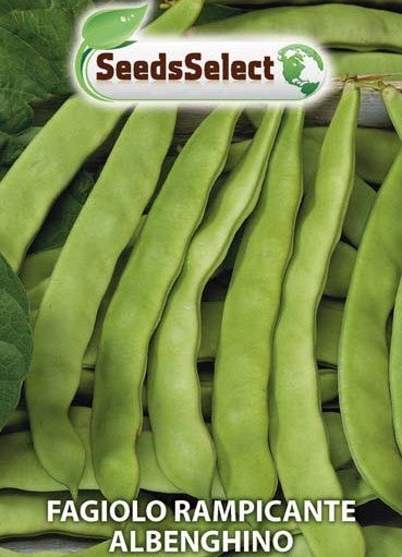 Stoksnijbonen 'Albenghino' / 'Posena'