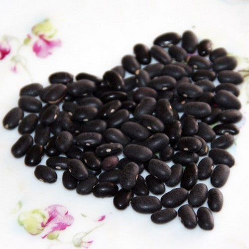 Tepary-Bonen 'Black Mitla'