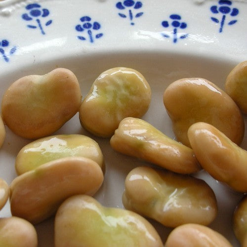 Tuinbonen Express-Type 'Eleonora' / 'Ratio' 75g