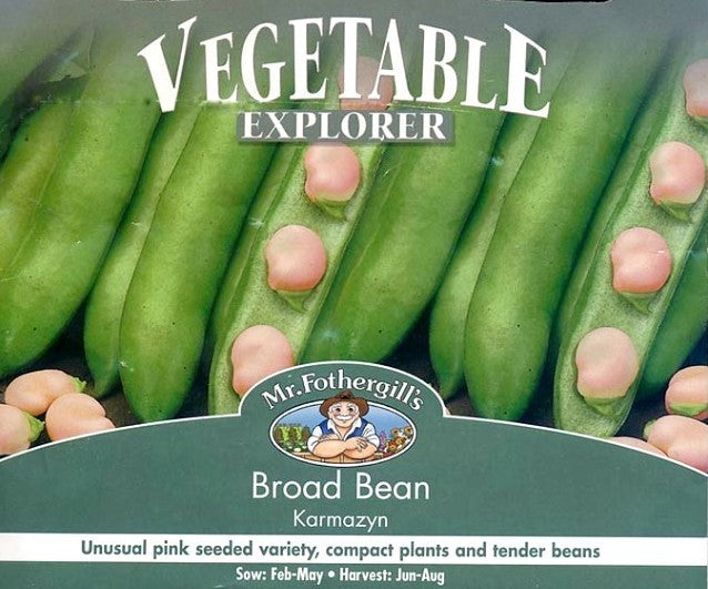 Broad bean 'Karmazyn'