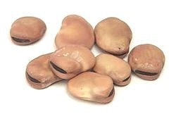 Broad Beans 'Lange- of Leidse Hangers' 100g