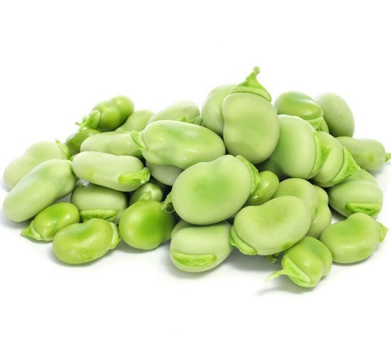 Broad bean 'Witkiem Major'
