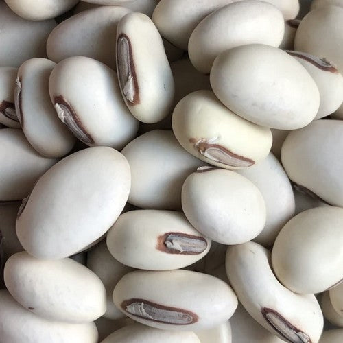 Sword Beans, White