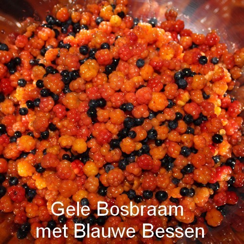 Bosbraam, Gele