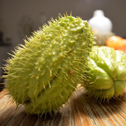Chayote 'Pricky'