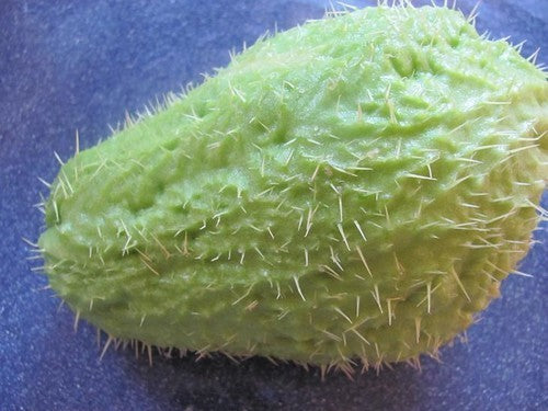 Chayote 'Pricky'