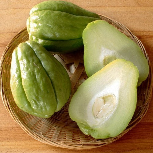 Chayote 'Smoothy'