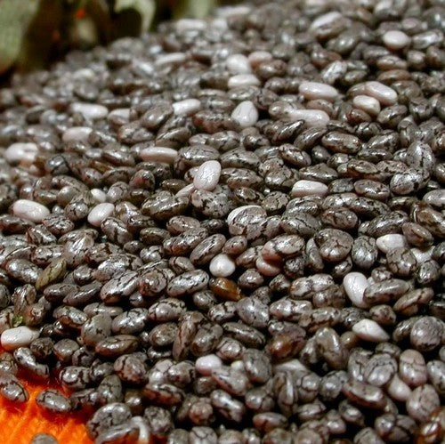 Chia 'Blackseeded' 40g