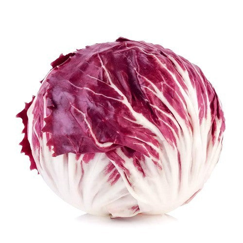 Red Chicory 'Red Palla Rossa' / 'Rosso di Chioggia' 3g