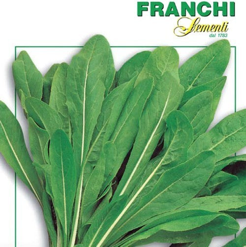 Chicory 'Spadona Da Taglio' / 'Linga di Cane' 3g