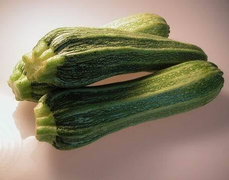 Courgette 'Arte' F1 / 'Tevere' F1 / 'Cesare' F1 10 Zaden