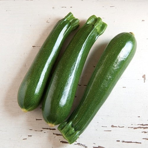 Courgette 'Dunja' F1 / 'Ladoga' F1 7 Zaden