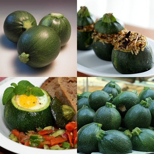 Courgette 'Eight Ball' F1 10 Seeds