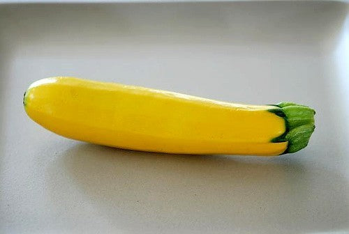 Courgette 'Golden Glory' F1 / 'Amira' F1 10 Zaden