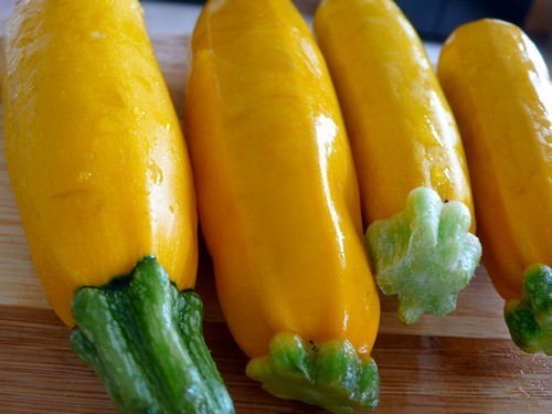 Courgette 'Golden Glory' F1 / 'Amira' F1 10 Zaden