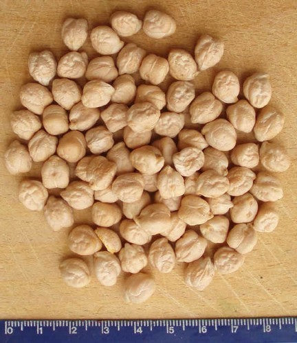 Chickpea 'Sultano' / 'Liscio'