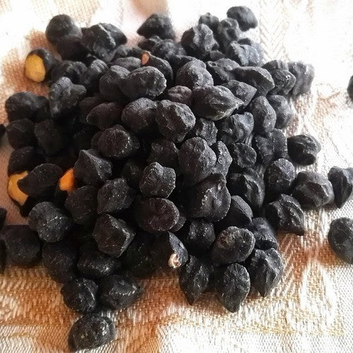 Chickpea 'Ceci Neri'