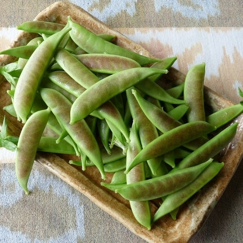 Peas 'Spring Blush'