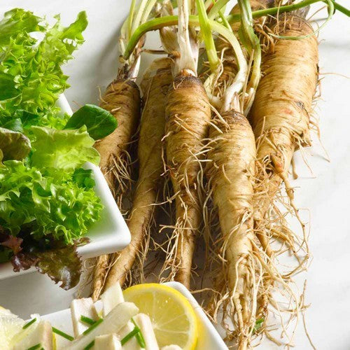Salsify 'Giant'