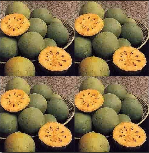 Woodapple