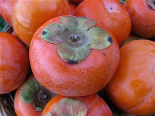 Persimmon, Asian
