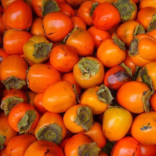 Persimmon, Asian
