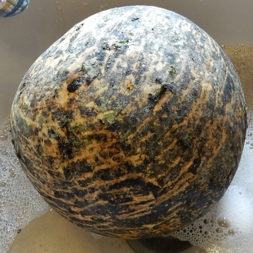 Kalebas 'Giant Bushel' / 'Giant Ronde de Zaire'