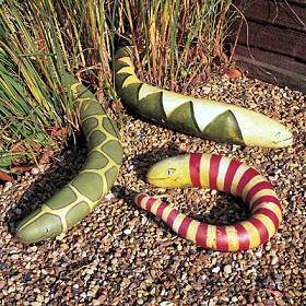 Gourd 'Snake' / 'Longissima'