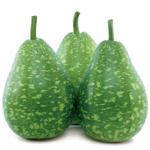 Kalebas 'PermaRoma' F1