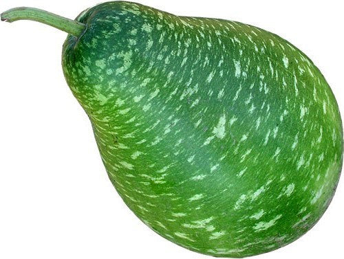 Kalebas 'PermaRoma' F1