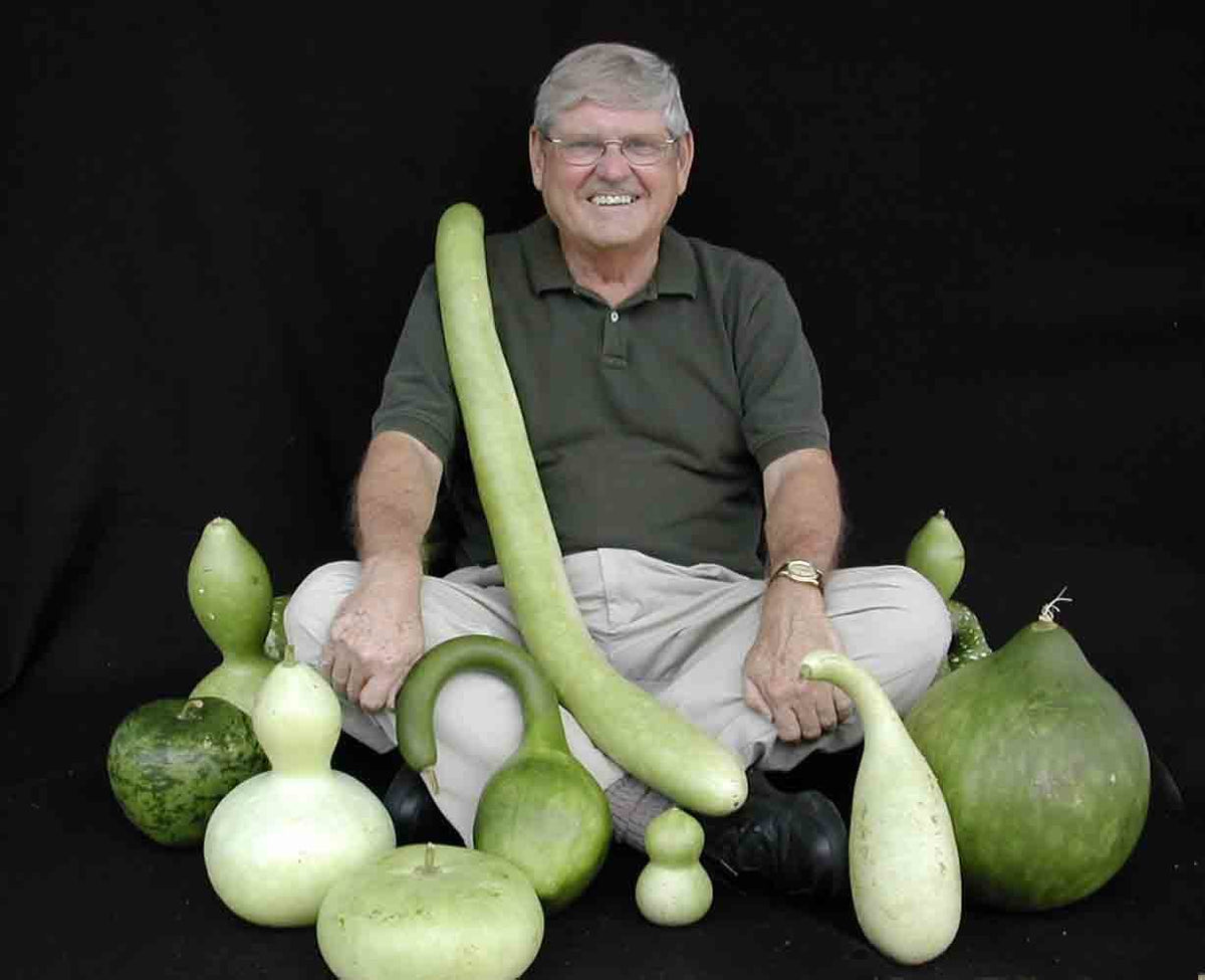 Kalebas Fleskalebassen 'Mixed'