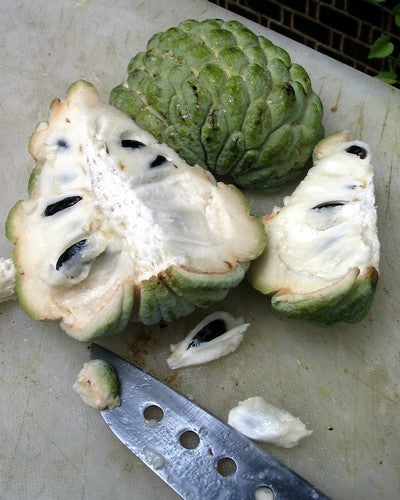 Custard apple