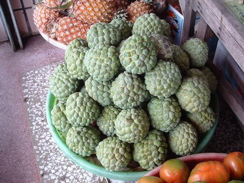Custard apple