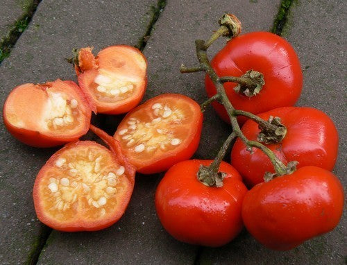 Cannibal Tomato