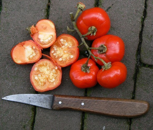 Cannibal Tomato