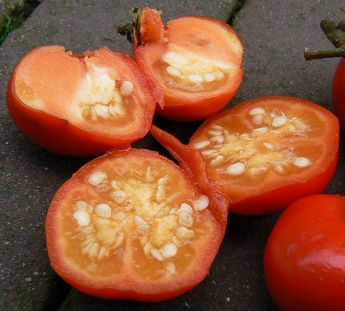 Cannibal Tomato