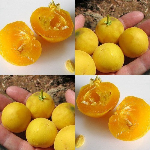 Kei-Appel