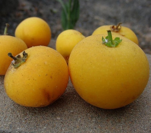 Kei-Appel