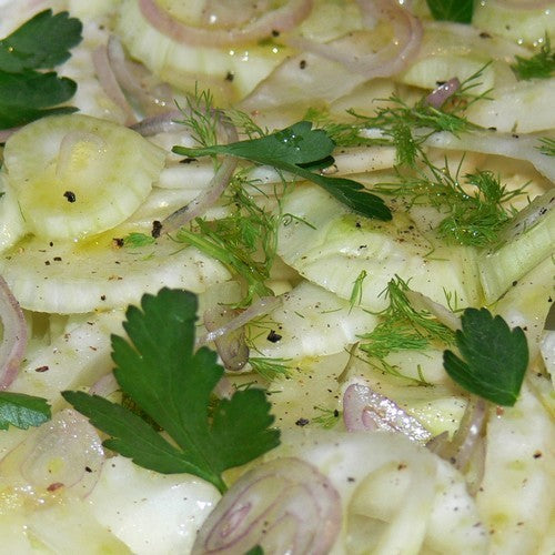Fennel 'Dragon' F1