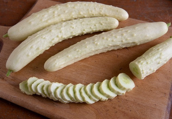 White Cucumber 'Itachi' F1