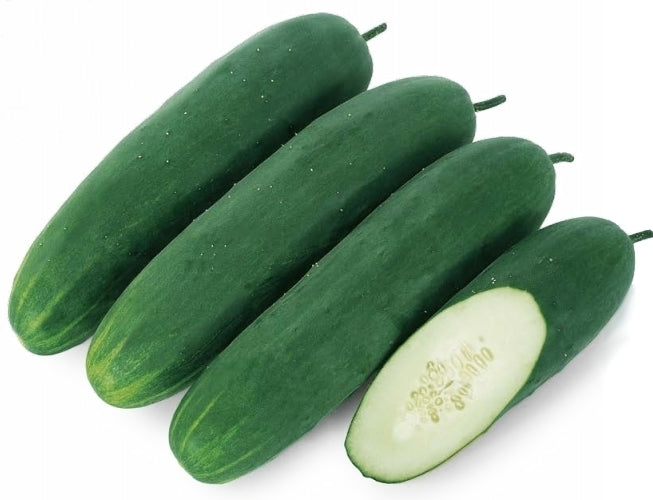 Komkommer 'Bumper Green' F1