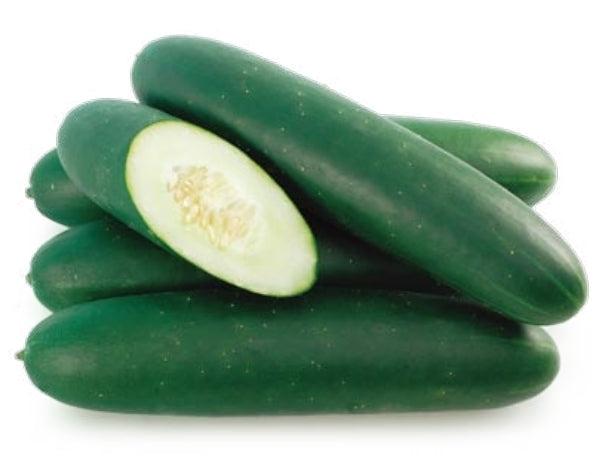 Cucumber 'Vantage' F1