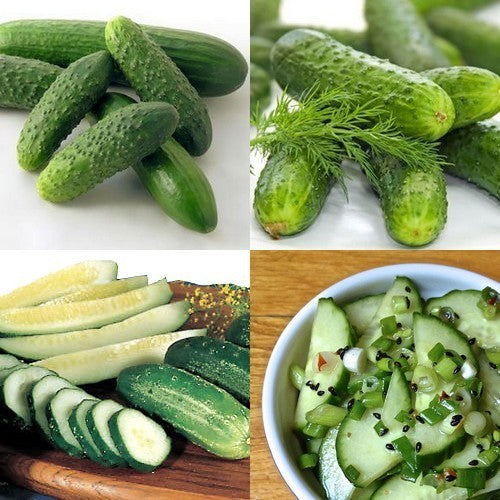 Cucumber 'Homemade Pickles'