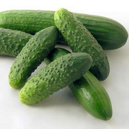 Cucumber 'Homemade Pickles'