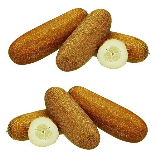 Sikkim Cucumber 'Golden Sister' F1