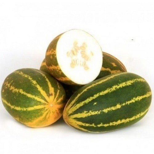 Curry Cucumber 'Burpees Prolific' F1