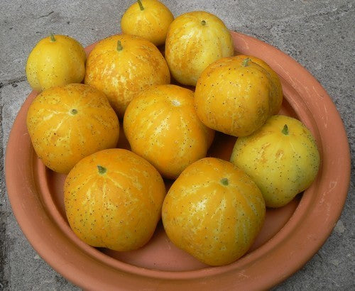 Appelkomkommer 'Crystal Apple' / 'Lemon'