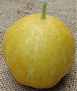 Appelkomkommer 'Crystal Apple' / 'Lemon'