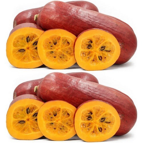 Regenboogkomkommer 'Cassabanana'