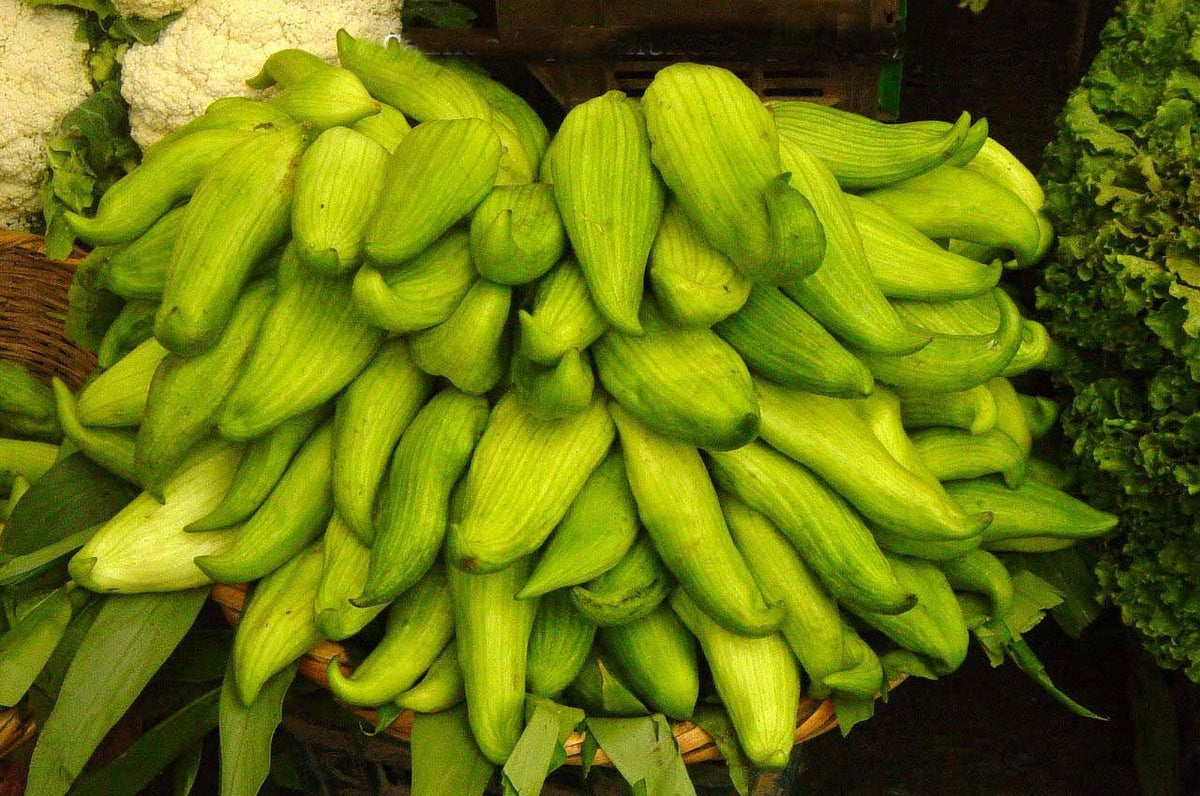 Olive cucumber